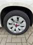 Fiat Panda 1.2 Edizione Cool Bruin - thumbnail 12