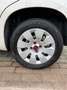 Fiat Panda 1.2 Edizione Cool Bruin - thumbnail 10