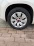 Fiat Panda 1.2 Edizione Cool Bruin - thumbnail 9