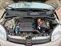 Fiat Panda 1.2 Edizione Cool Bruin - thumbnail 8