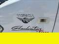 Giotti Victoria Gladiator - thumbnail 7