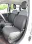 Fiat Panda 1.2 benzina Easy 5porte 5 posti Argent - thumbnail 6