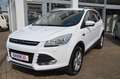 Ford Kuga 1,5 SYNC Edition AHK|PDC|SHZ|Scheckheft Blanc - thumbnail 2