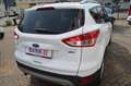 Ford Kuga 1,5 SYNC Edition AHK|PDC|SHZ|Scheckheft Blanc - thumbnail 6