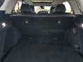 Honda CR-V 2.0 hev Elegance awd Bianco - thumbnail 14
