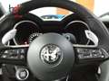 Alfa Romeo Stelvio 2.2 Sprint RWD Aut. 160 Grigio - thumbnail 10