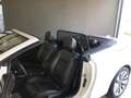 Opel Cascada T Start/Stop Cosmo   BIJ DRIESEN IN BREE   089/46 Blanc - thumbnail 6