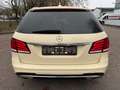 Mercedes-Benz E 250 E T-Modell E 250 BlueTec 4Matic HU 3.2027 Gelb - thumbnail 33