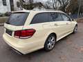 Mercedes-Benz E 250 E T-Modell E 250 BlueTec 4Matic HU 3.2027 Gelb - thumbnail 8