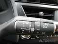 Lexus UX 250h Style Edition *Kamera*CarPlay*ACC*LED*SHZ* Grau - thumbnail 19