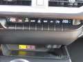 Lexus UX 250h Style Edition *Kamera*CarPlay*ACC*LED*SHZ* Grau - thumbnail 24