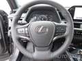 Lexus UX 250h Style Edition *Kamera*CarPlay*ACC*LED*SHZ* Grau - thumbnail 16