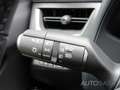 Lexus UX 250h Style Edition *Kamera*CarPlay*ACC*LED*SHZ* Grau - thumbnail 18