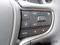 Lexus UX 250h Style Edition *Kamera*CarPlay*ACC*LED*SHZ* Grau - thumbnail 20