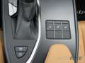 Lexus UX 250h Style Edition *Kamera*CarPlay*ACC*LED*SHZ* Grau - thumbnail 25