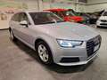 Audi A4 35 TDI S tr Sport  8 GOMME APPLE VETRI SC GAR24 M Gris - thumbnail 2
