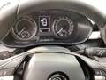 Skoda Fabia Ambition 1.0 MPI Einparkhilfe, Tempomat Orange - thumbnail 12