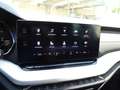 Skoda Octavia Combi 2,0 TDI First Edition DSG Argent - thumbnail 10