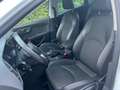 SEAT Leon Leon 2.0 TDI DPF Start Bílá - thumbnail 5
