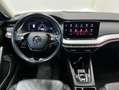 Skoda Octavia Wagon Style 2.0 TDI 150CV 4x4 DSG Rosso - thumbnail 9