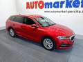 Skoda Octavia Wagon Style 2.0 TDI 150CV 4x4 DSG Rosso - thumbnail 3