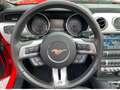 Ford Mustang Convertible 2.3 l EcoBoost Rot - thumbnail 21