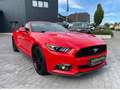 Ford Mustang Convertible 2.3 l EcoBoost Rot - thumbnail 1