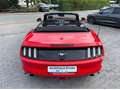 Ford Mustang Convertible 2.3 l EcoBoost Rot - thumbnail 10
