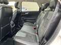 Ford Edge 2,0TDCi Bi-Turbo Sport 4x4 Weiß - thumbnail 21