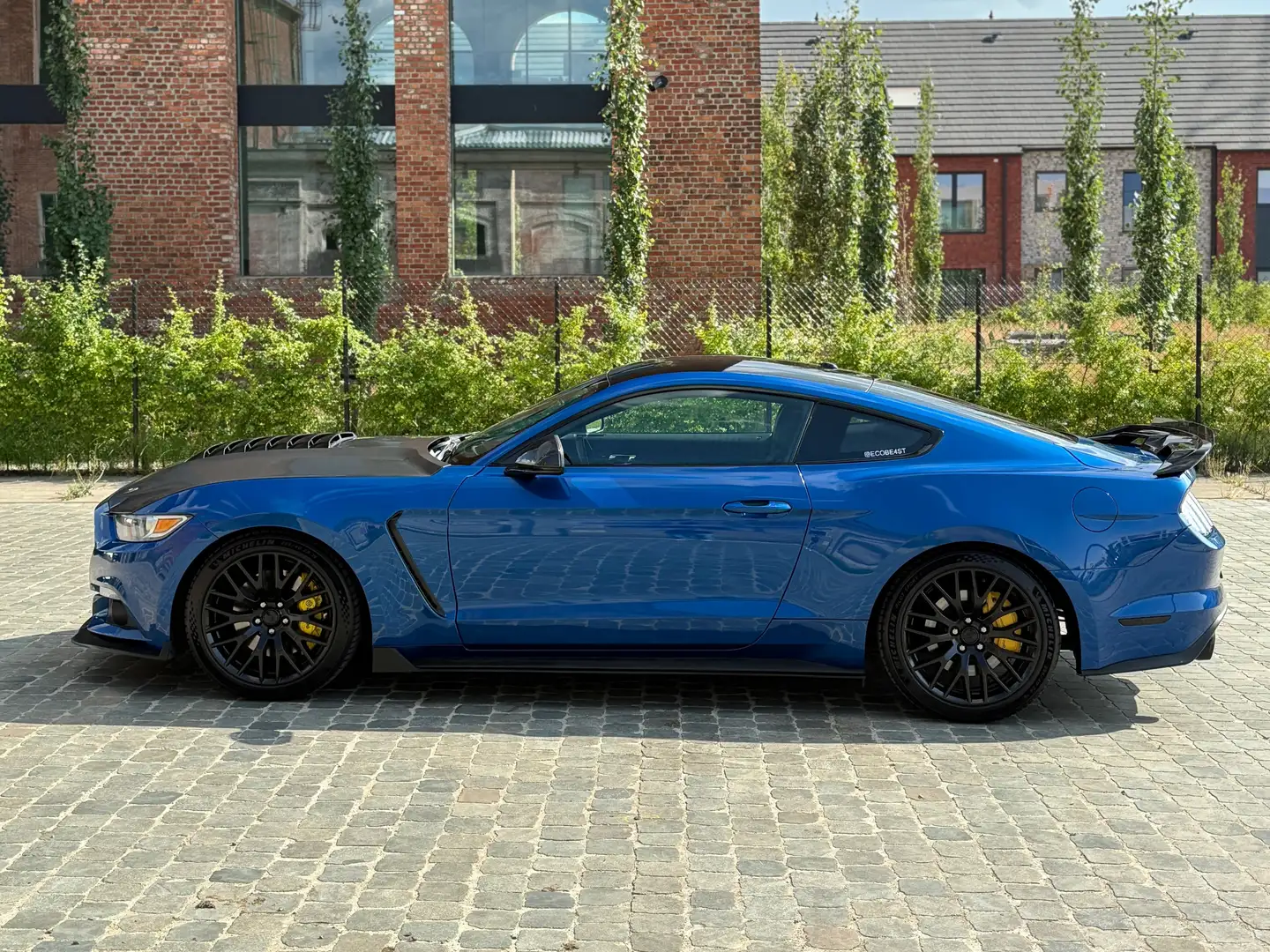 Ford Mustang Mustang 2.3 Eco Boost Bleu - 2