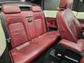Volkswagen New Beetle 1.6 Cabrio Lim. Red Edt. Bianco - thumbnail 13