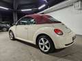 Volkswagen New Beetle 1.6 Cabrio Lim. Red Edt. Bianco - thumbnail 4