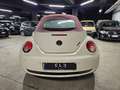 Volkswagen New Beetle 1.6 Cabrio Lim. Red Edt. Bianco - thumbnail 7
