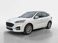 Ford Kuga 2,5 Duratec PHEV ST-Line X Aut. Weiß - thumbnail 1
