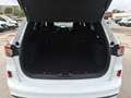 Ford Kuga 2,5 Duratec PHEV ST-Line X Aut. Weiß - thumbnail 16