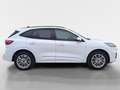 Ford Kuga 2,5 Duratec PHEV ST-Line X Aut. Weiß - thumbnail 8