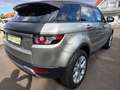 Land Rover Range Rover Evoque Pure Grau - thumbnail 10