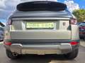 Land Rover Range Rover Evoque Pure Grau - thumbnail 6