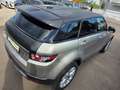 Land Rover Range Rover Evoque Pure Grau - thumbnail 11