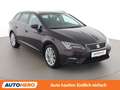 SEAT Leon 1.4 TSI Xcellence Violett - thumbnail 8