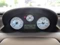 Lancia Ypsilon PLATINO Beige - thumbnail 9