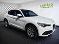 Alfa Romeo Stelvio 2,2 190 Business AWD, ZR neu, frisches Service Weiß - thumbnail 3