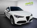 Alfa Romeo Stelvio 2,2 190 Business AWD, ZR neu, frisches Service Weiß - thumbnail 2