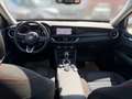 Alfa Romeo Stelvio 2,2 190 Business AWD, ZR neu, frisches Service Weiß - thumbnail 7