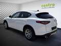 Alfa Romeo Stelvio 2,2 190 Business AWD, ZR neu, frisches Service Weiß - thumbnail 6
