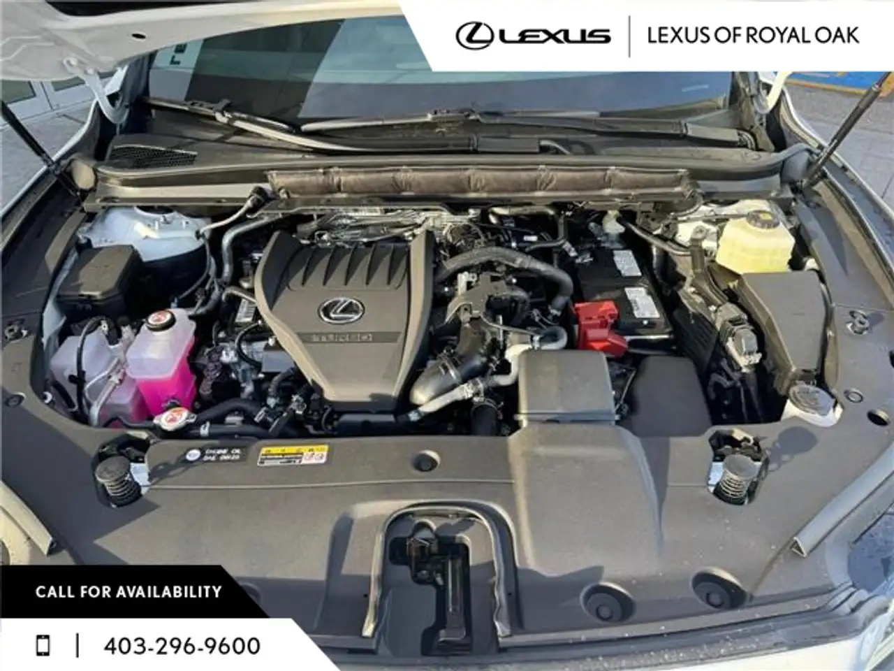 Lexus RX снимка Lexus RX