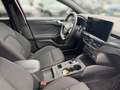 Ford Focus Turnier 1,5 EcoBlue ST-Line Aut. Rot - thumbnail 12