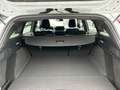 Ford Focus Turnier 1,5 EcoBlue ST-Line Aut. Weiß - thumbnail 13