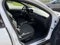 Ford Focus 1,5 EcoBlue Trend Edition Aut. Weiß - thumbnail 16