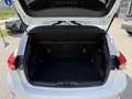 Ford Focus 1,5 EcoBlue Trend Edition Aut. Weiß - thumbnail 14